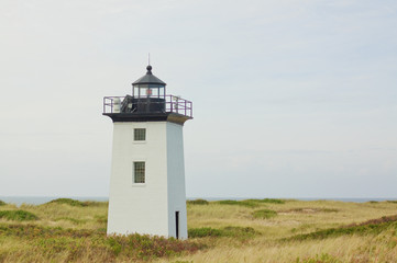 Cape Cod