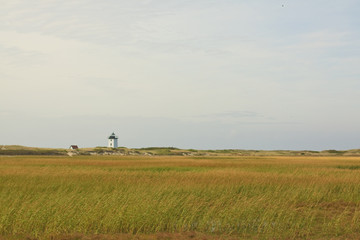 Cape Cod