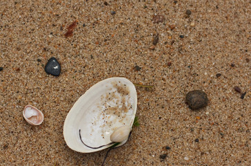 Cape Cod 4