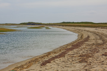 Cape Cod