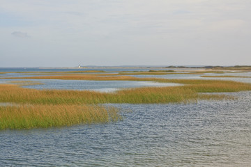 Cape Cod
