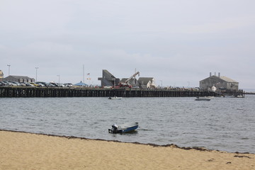 Cape Cod