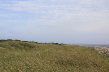 Cape Cod