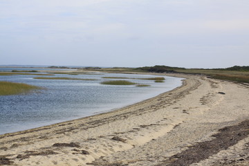 Cape Cod