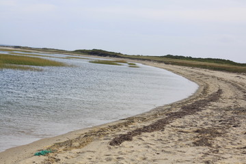 Cape Cod