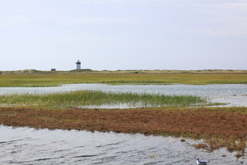 cape Cod