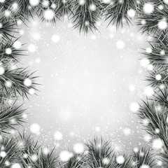 Fototapeta na wymiar Silver christmas background with spruce branches.