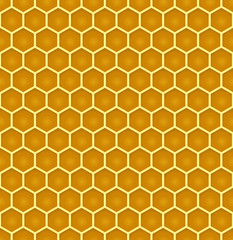 bee honeycomb colorful seamless pattern eps10