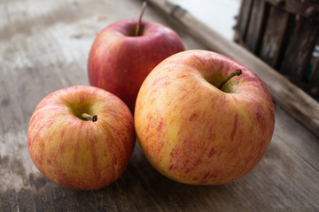 three royal apples