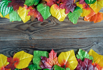 Autumn leaf border