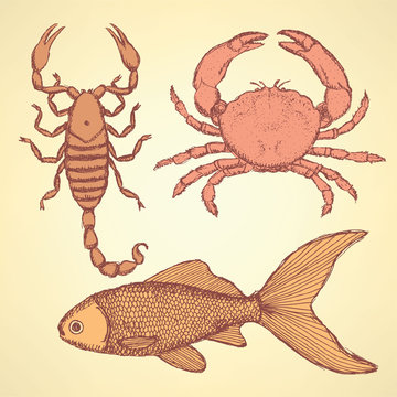 Sketch cute crab, scorpion and fish