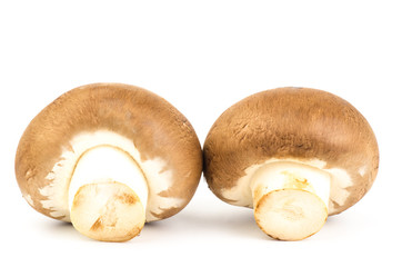 Fresh Champignon mushroom