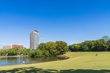 郊外の公園