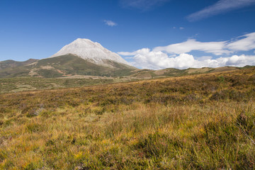 Fototapeta na wymiar Pradera y Pico Espigüete. Montaña Palentina.