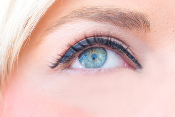 Fototapeta premium Das menschliche Auge