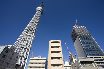 Naklejka premium 建設中の東京スカイツリー