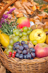 Autumn organic fruits