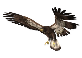 Eagle Landing