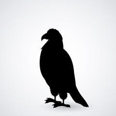 Animal design