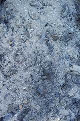 Background of wood ash
