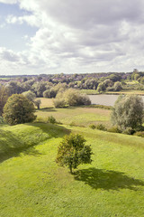 Aerial view of a field