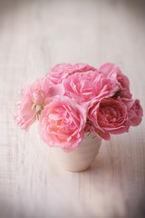 Obraz na płótnie Canvas Garden pink roses