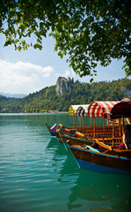 Fototapeta na wymiar boats on Lake Bled vertical