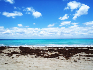 Fototapeta na wymiar Relaxing on a tropical beach