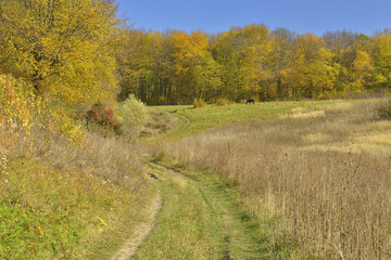 Осенний пейзаж