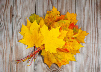 Obraz premium Bundle of maple leaves on wood