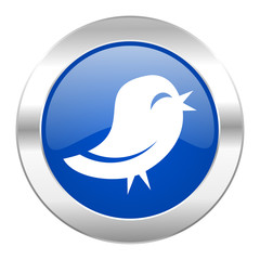 twitter blue circle chrome web icon isolated