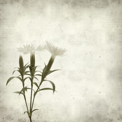 textured old paper background