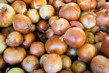 Fresh onion. Ripe onions as background.