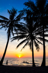 Fototapeta na wymiar beach in sunset time. palm trees silhouette on sunset tropical b