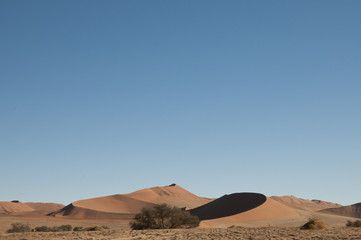 Obraz na płótnie Canvas Namib-Naukluft-Park, Namibia, Afrika