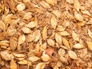 Diet horse muesli  with apple background