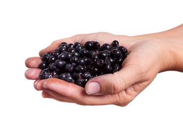 Handful of blueberries