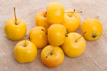 Yellow apples on canvas