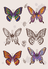 Naklejka na ściany i meble Set of colorful isolated butterflies.