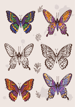 Set of colorful isolated butterflies.