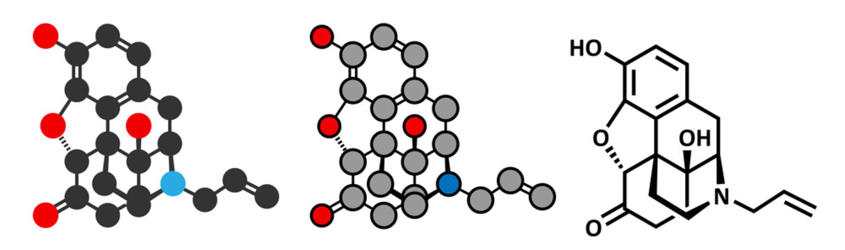 Naloxone Opioid Receptor Antagonist. 