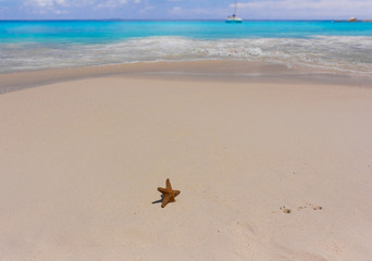 Dream Vacation Detail