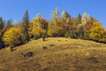 Fototapeta premium Autumn landscape