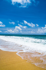 Heavenly Blue Windy Holiday