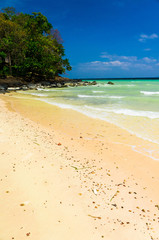 Shore Landscape On a Beach