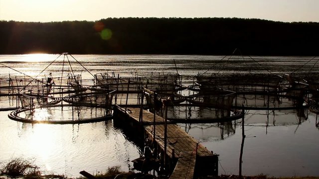 Sturgeon cages on the river Danube at sunset