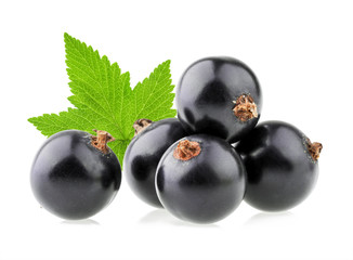 black currant isolated