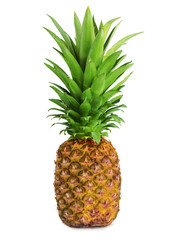 Fototapeta premium pineapple isolated