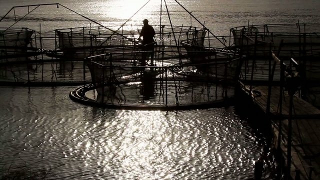 Sturgeon cages on the river Danube at sunset