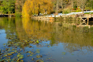 Fototapeta premium autumn